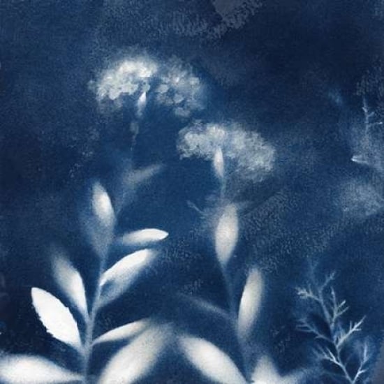 Natures Indigo II Poster Print by Nan Image 1