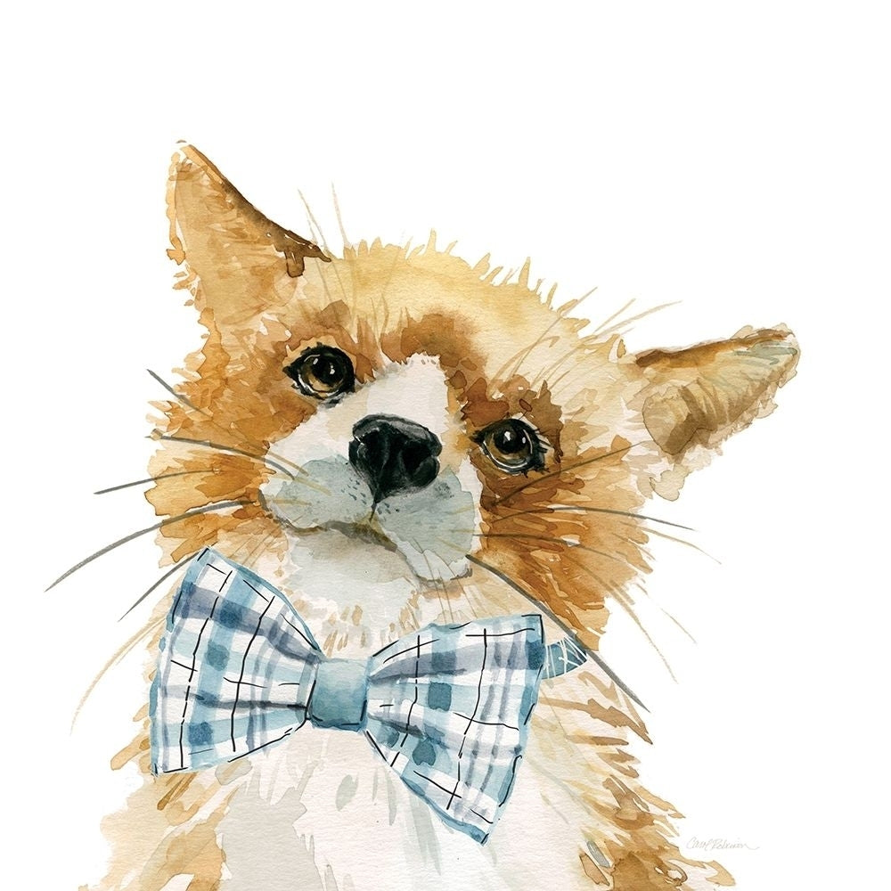 Cute Critter Fox Poster Print by Carol Robinson Image 2