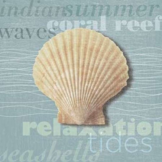 Beach Collection III Poster Print by Tandi Venter Image 1