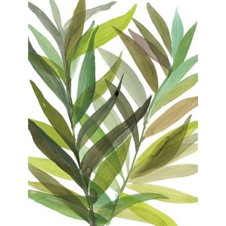 Tropical Greens I Poster Print by Rebecca Meyers Image 1