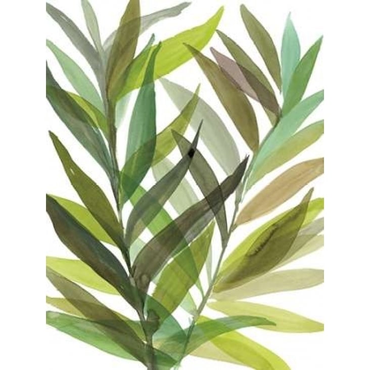 Tropical Greens I Poster Print by Rebecca Meyers Image 2