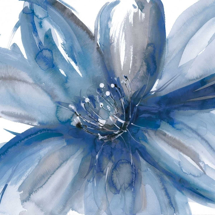 Blue Beauty I Poster Print by Rebecca Meyers Image 1