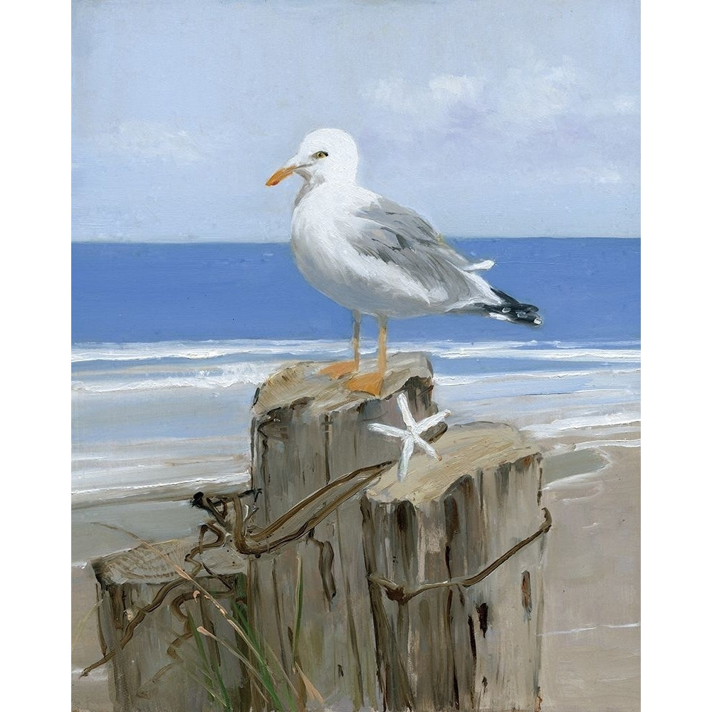 Keeping Watch II Poster Print by Sally Swatland Image 1