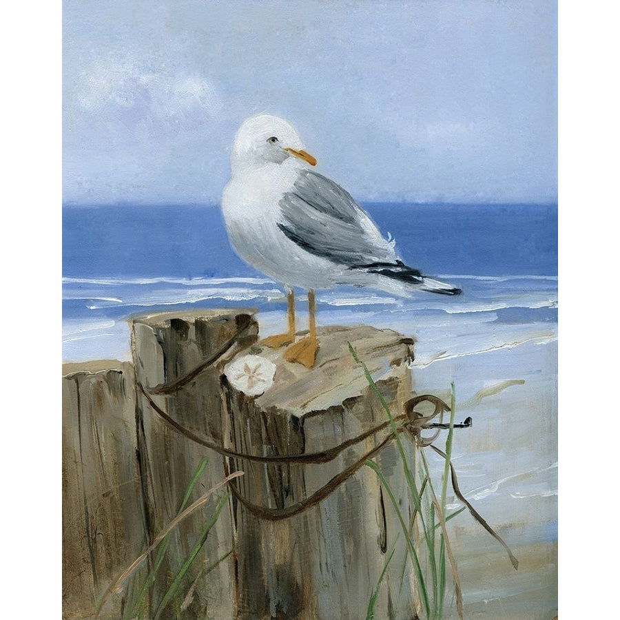 Keeping Watch I Poster Print by Sally Swatland Image 1