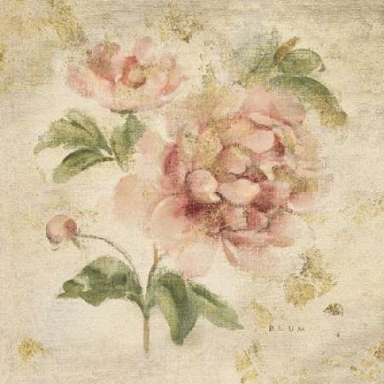 Coral Rose on Antique Linen Light Gold Poster Print by Cheri Blum Image 1