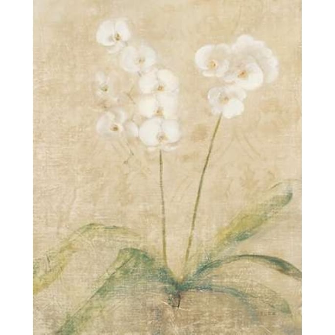 Orchid Cool Poster Print by Cheri Blum Image 1