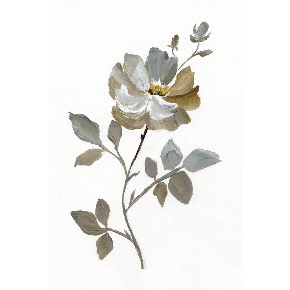 Neutral Rose I Poster Print by Nan Image 2