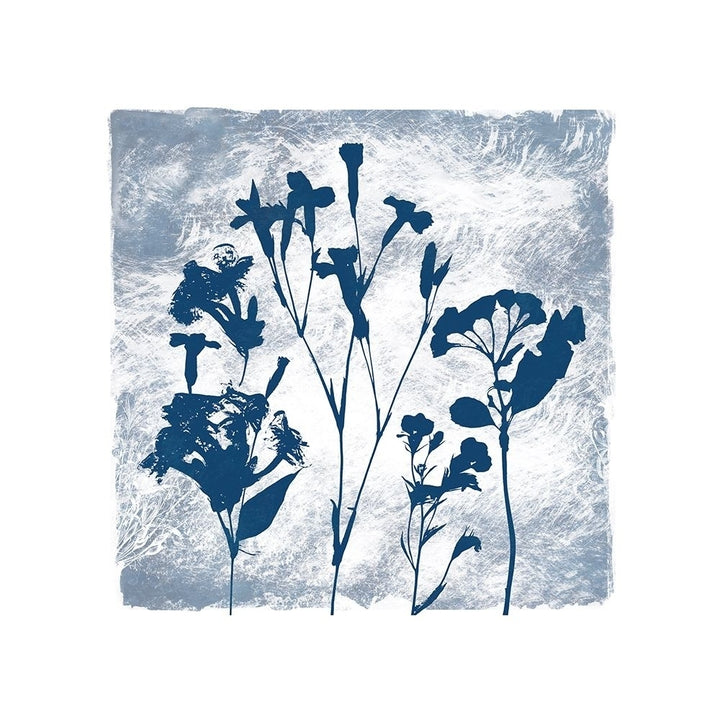 Indigo Summer Poster Print by Carol Robinson Image 2