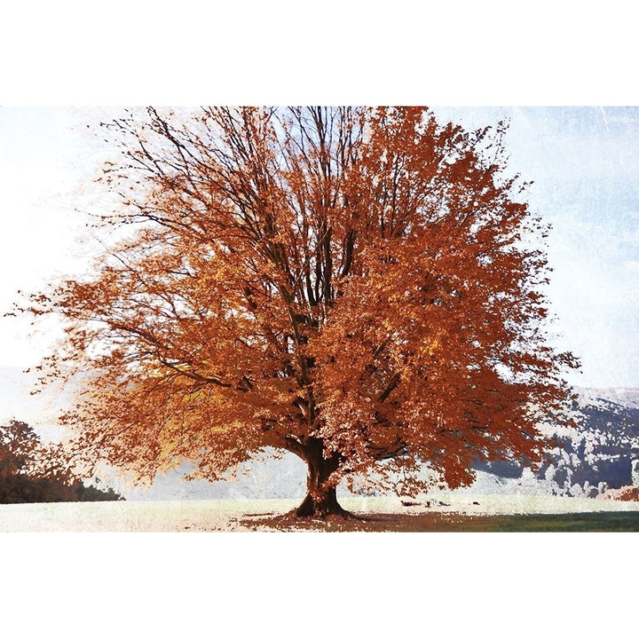 Season of Fall Poster Print by Irene Weisz Image 2