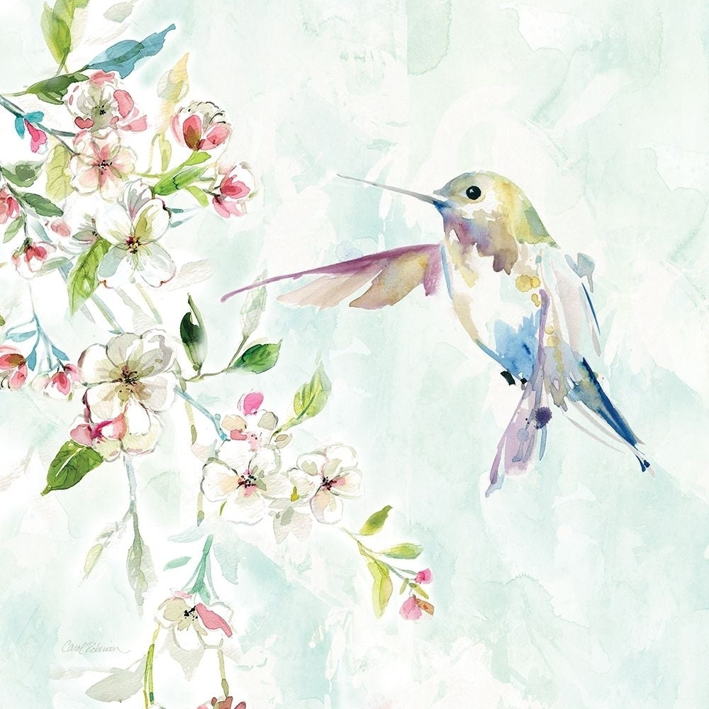 Hummingbird IV Poster Print by Carol Robinson Image 1