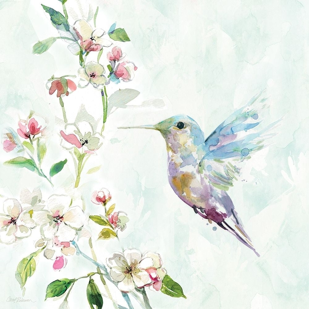 Hummingbird II Poster Print by Carol Robinson Image 1