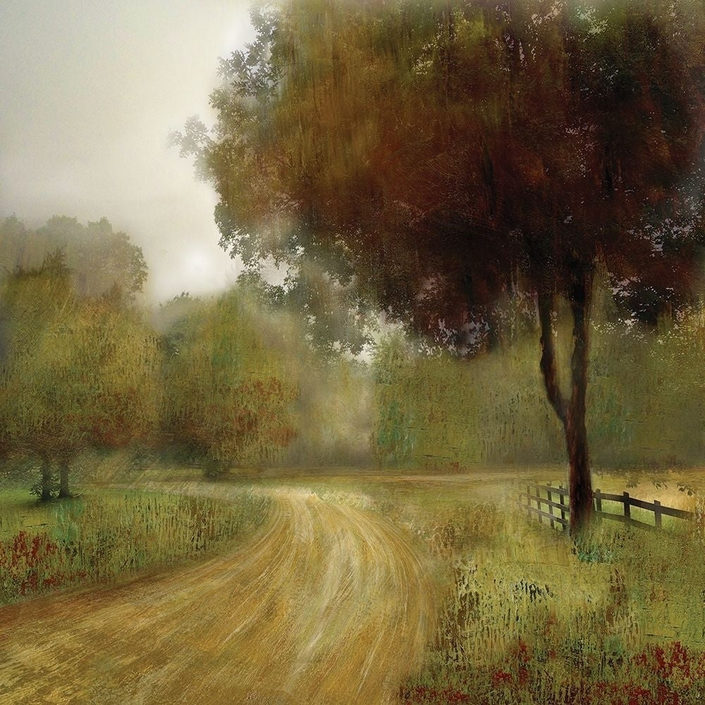 Country Road Poster Print by Nan Image 2