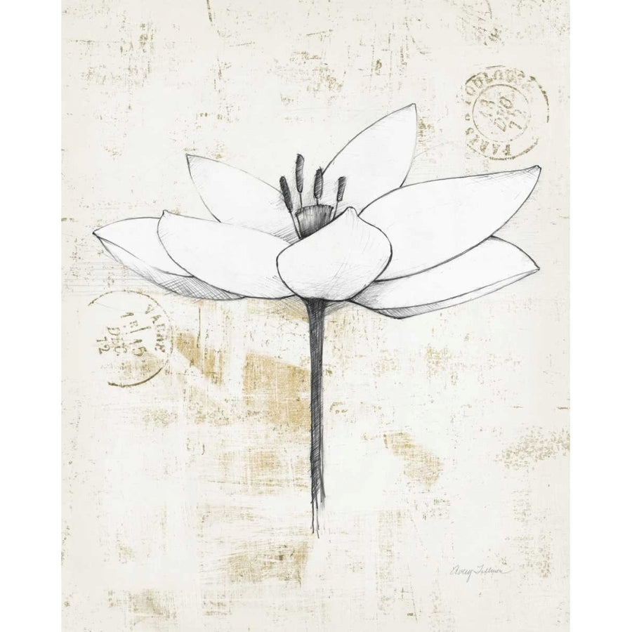 Pencil Floral I Gold Poster Print by Avery Tillmon Image 1