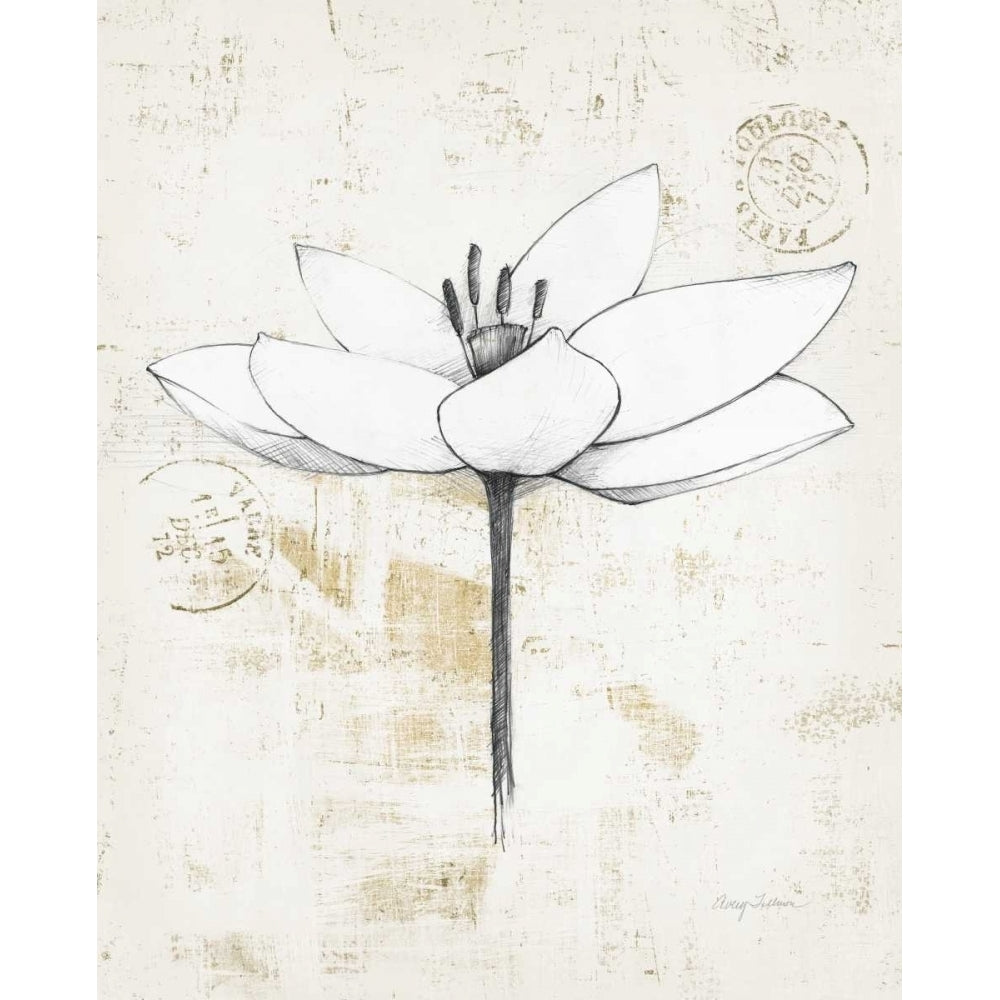 Pencil Floral I Gold Poster Print by Avery Tillmon Image 2