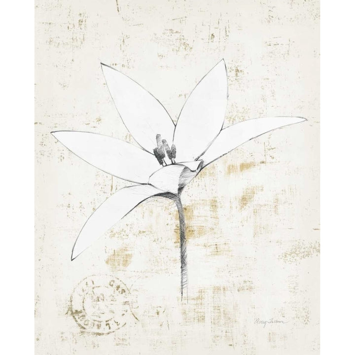 Pencil Floral XII Gold Poster Print by Avery Tillmon Image 1