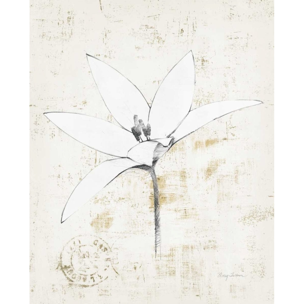 Pencil Floral XII Gold Poster Print by Avery Tillmon Image 2