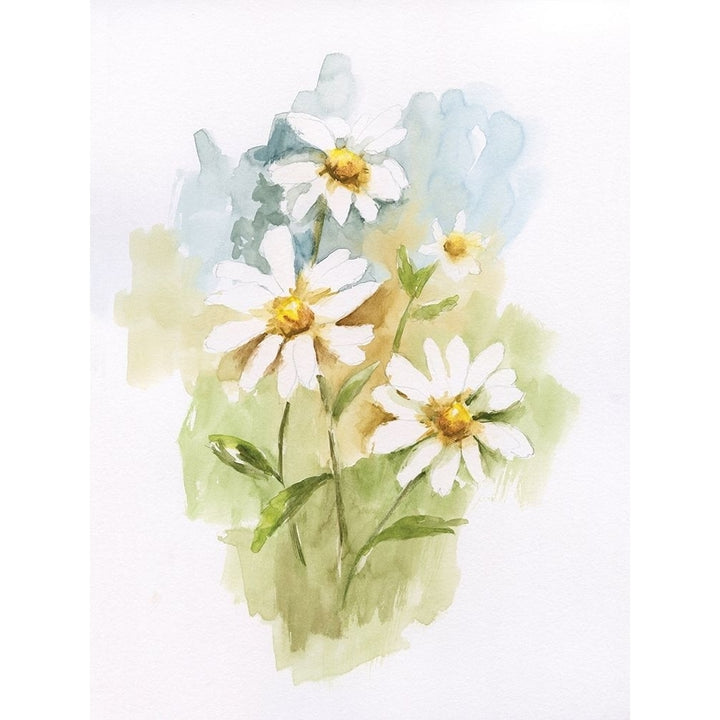 Wild Daisy I Poster Print by Nan Image 2