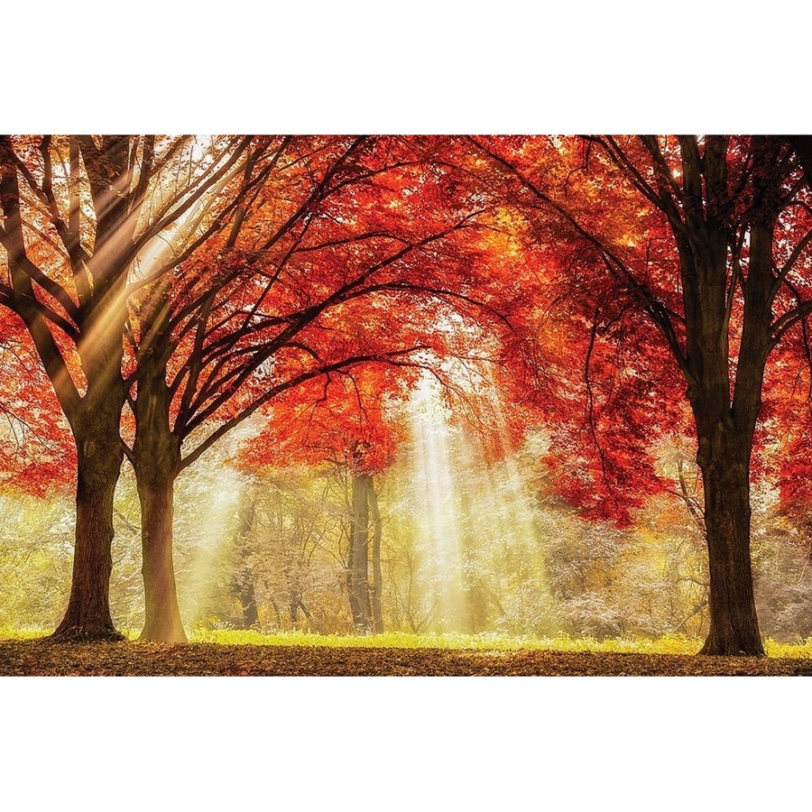 Everland Poster Print by Lars Van de Goor Image 1