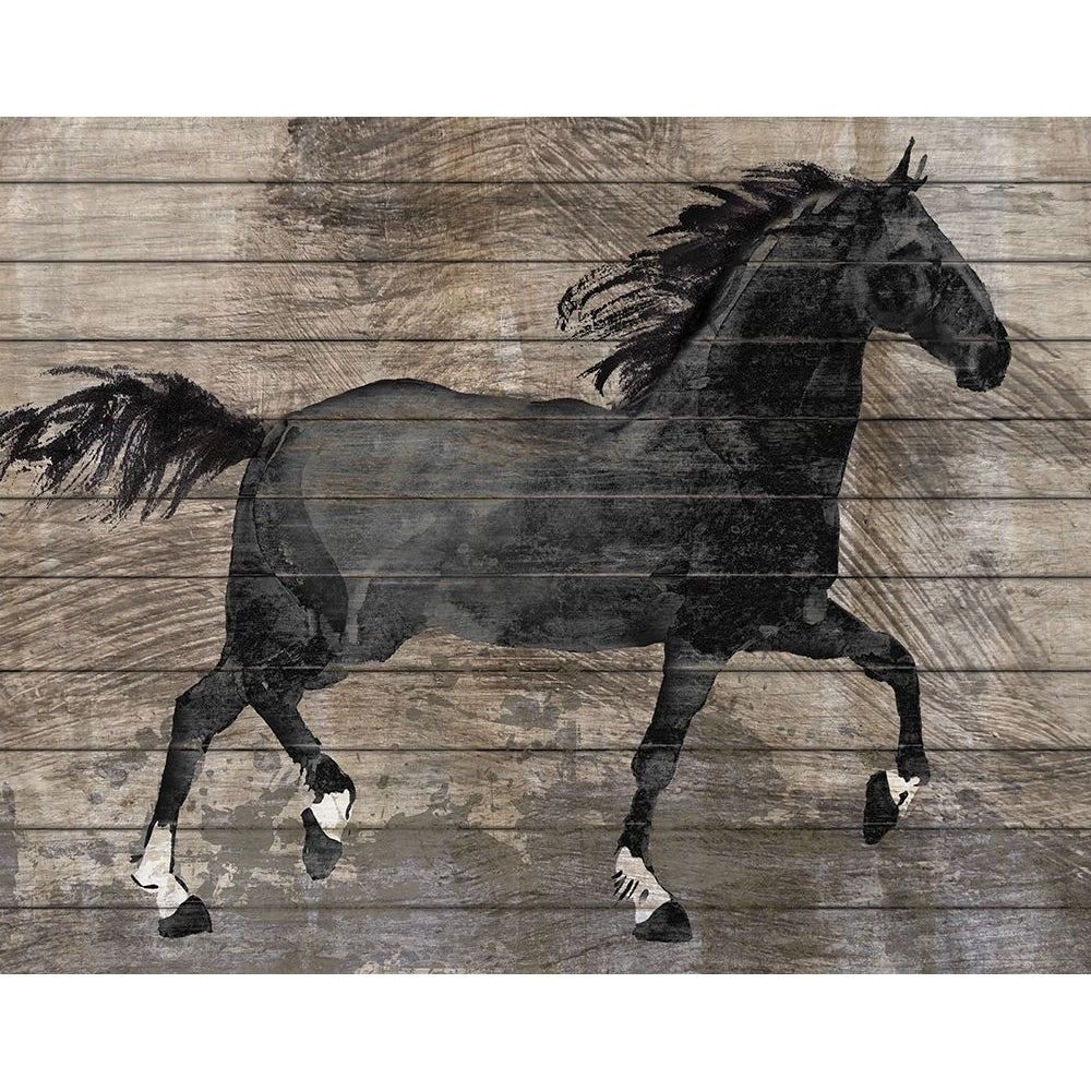 Barnwood Horse Poster Print by Conrad Knutsen Image 1