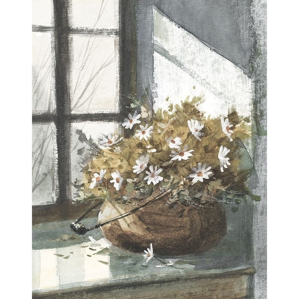 Daisies In Poster Print by George Bjorkland Image 1