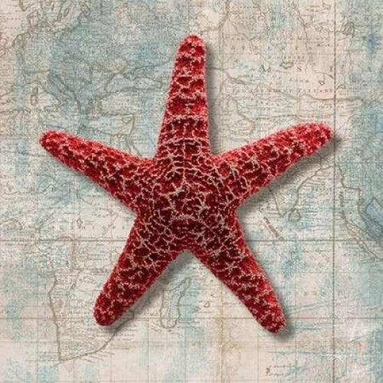 Starfish Poster Print by Ted Broome Image 1