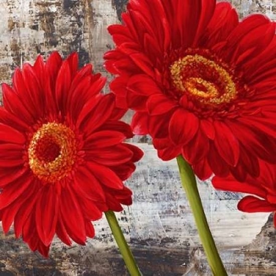 Red Gerberas I Poster Print by Jenny Thomlinson Image 1