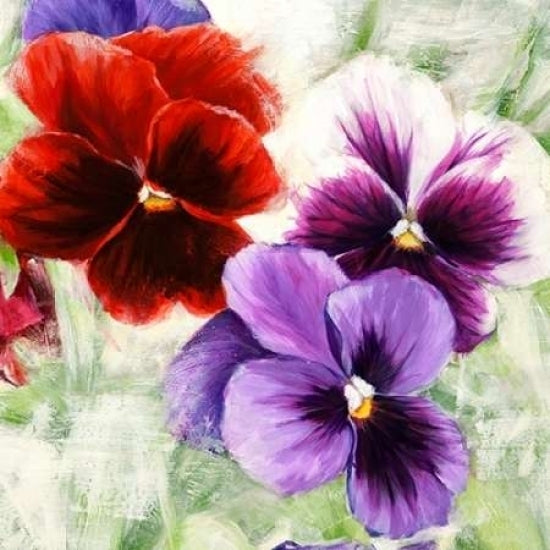 Pansies I Poster Print by Jenny Thomlinson Image 2