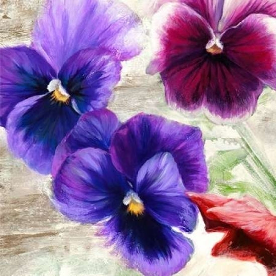 Pansies II Poster Print by Jenny Thomlinson Image 2