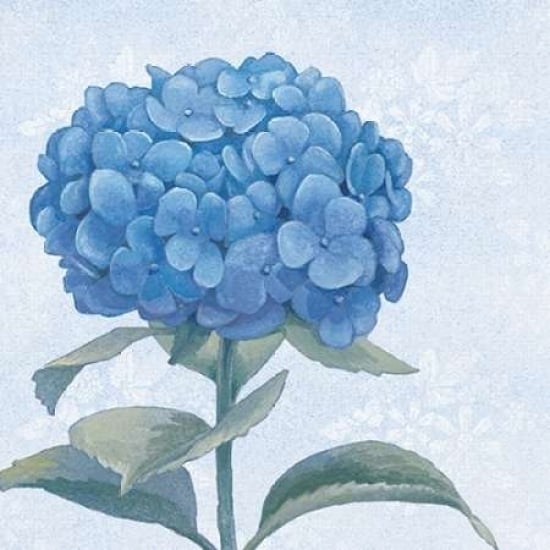 Blue Hydrangea III Poster Print by Beth Grove Image 1