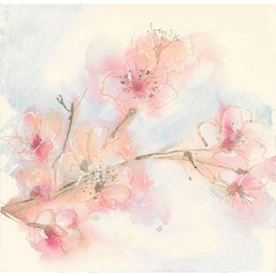 Pink Blossoms II Poster Print by Chris Paschke Image 1