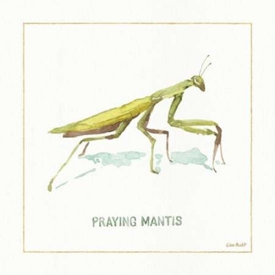 My Greenhouse Pray Mantis Poster Print by Audit Lisa Image 1