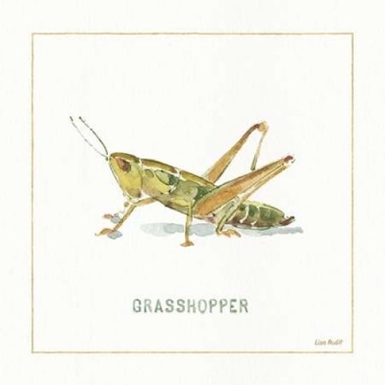 My Greenhouse Grasshopper Poster Print by Audit Lisa Image 2