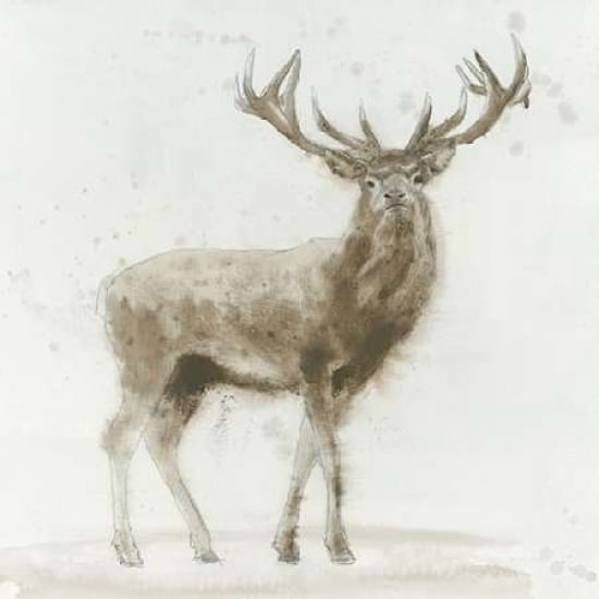 Stag v.2 Poster Print by James Wiens Image 2