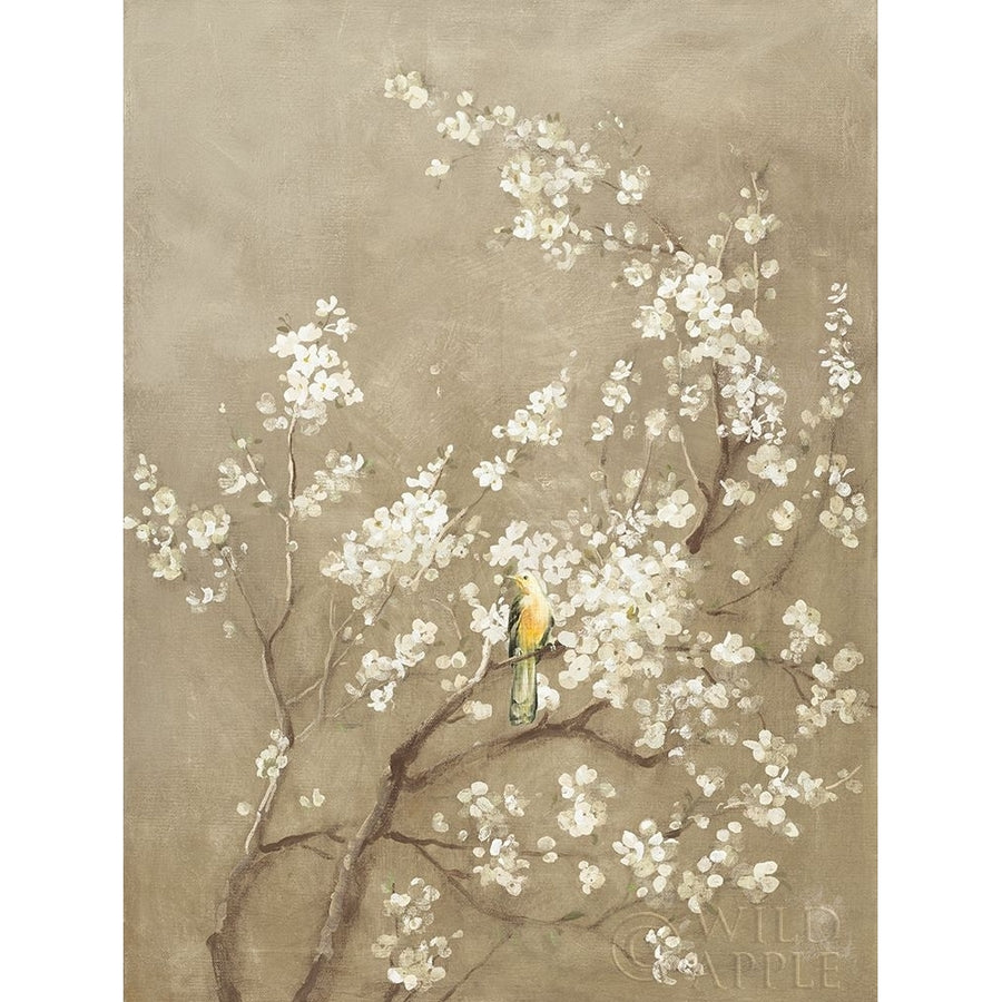 White Cherry Blossom I Neutral Crop Bird Poster Print by Danhui Nai Image 1