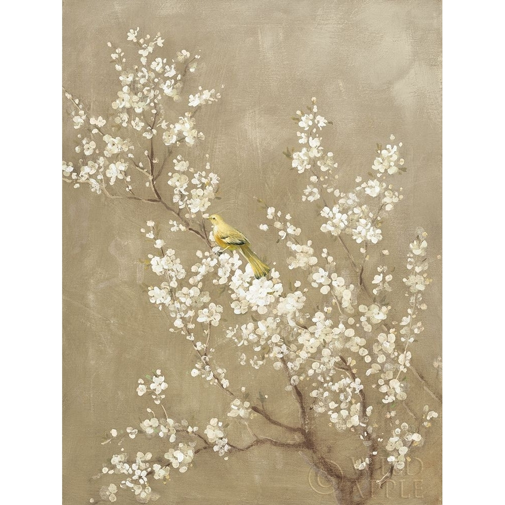 White Cherry Blossom Ii Neutral Crop Bird Poster Print by Danhui Nai Image 1