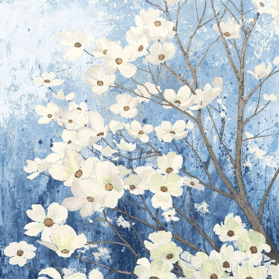 Dogwood Blossoms I Indigo Poster Print by James Wiens Image 1