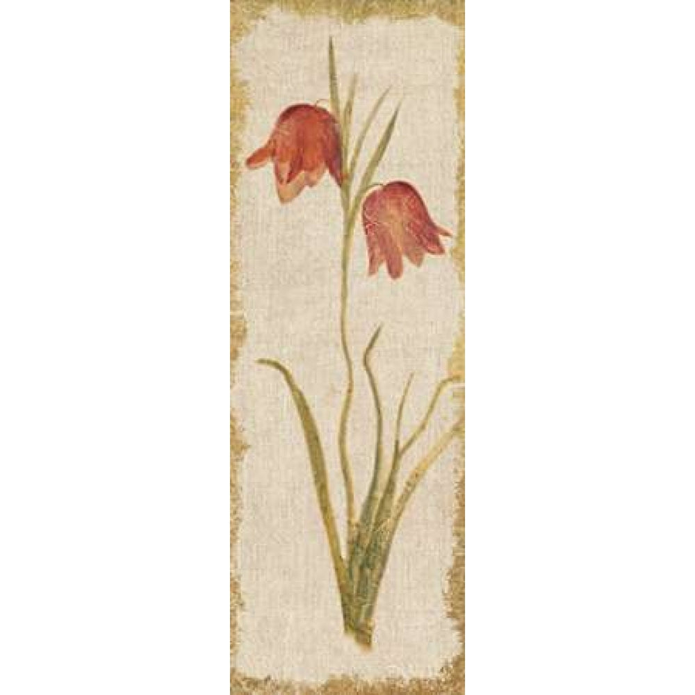 Red Tulip Panel on White Vintage Poster Print by Cheri Blum Image 2