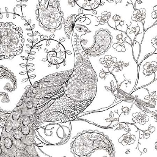 Color My World Ornate Peacock I square Poster Print by Brissonnet Daphne Image 1