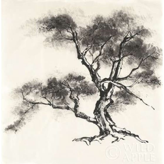 Sumi Tree II Poster Print by Paschke Chris Image 2