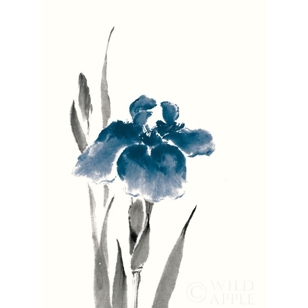 Japanese Iris Iii Crop Indigo Poster Print by Chris Paschke Image 1