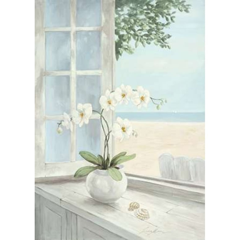 Seashell Poster Print by Linda Moore Image 1