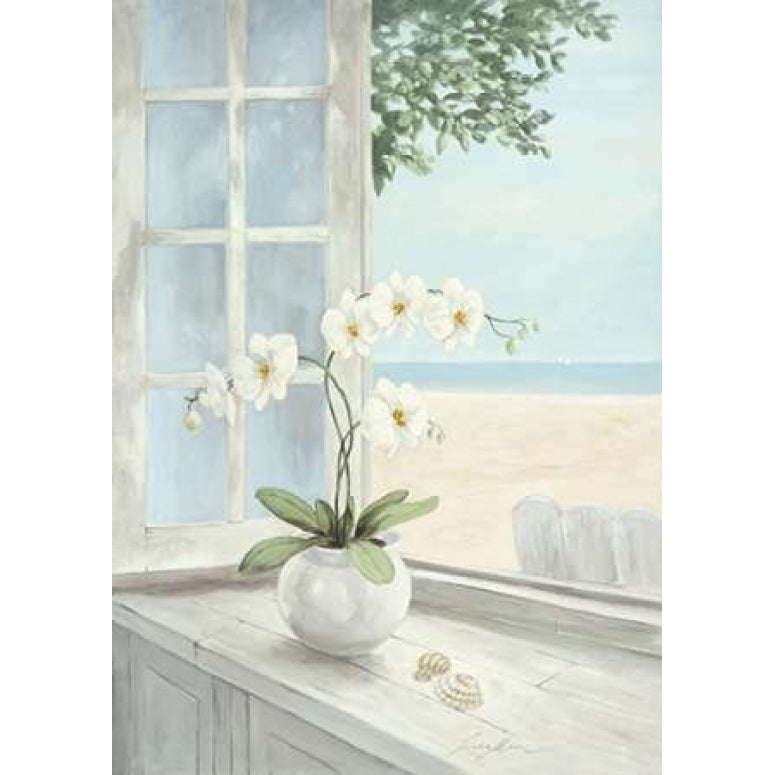 Seashell Poster Print by Linda Moore Image 2