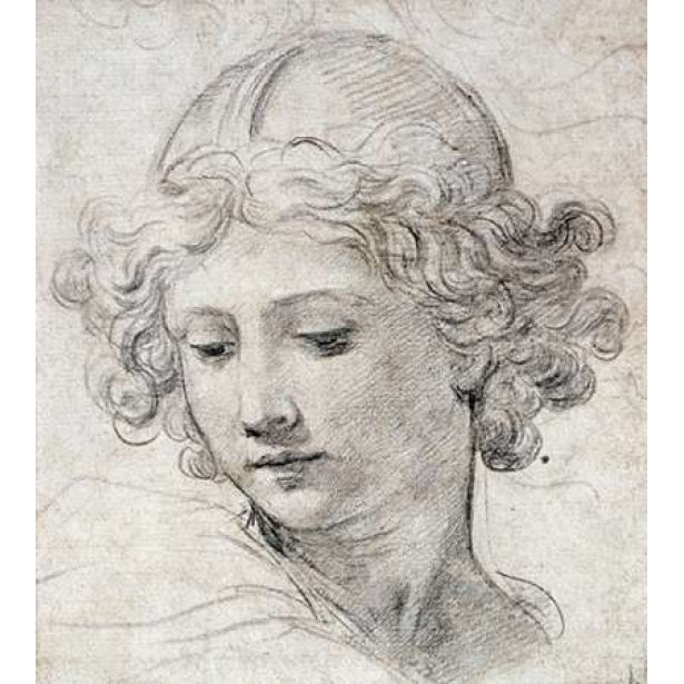 The Head of An Angel Poster Print by Pietro Berrettini Image 2