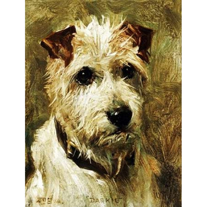 Portrait of a Terrier: Darkie Poster Print by John Emms Image 1