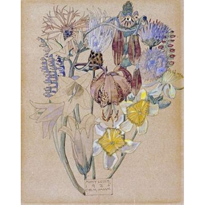 Mont Louis - Flower Study Poster Print by Charles Rennie Mackintosh Image 1