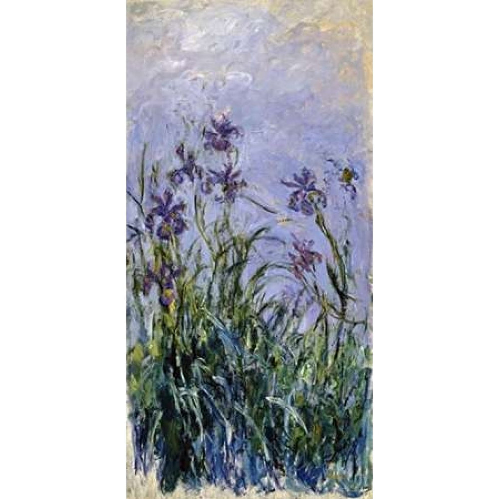 Iris mauves Poster Print by Claude Monet Image 2