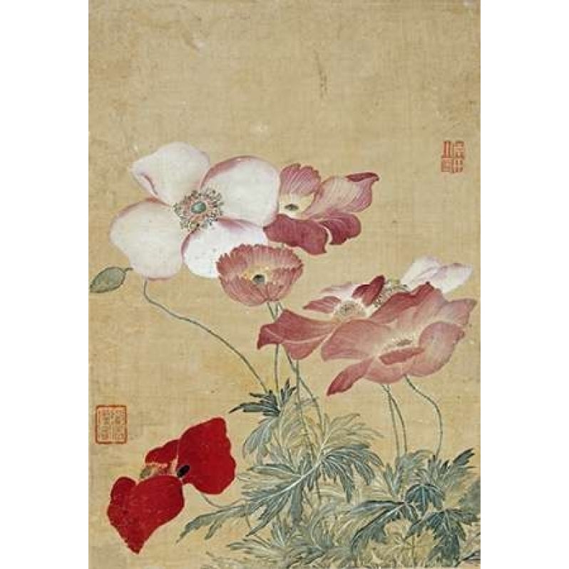 Poppies Poster Print by Yun Shouping Image 1