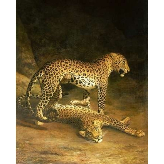 Two Leopards Lying In The Exeter Exchange Poster Print by Jacques-Laurent Agasse Image 2