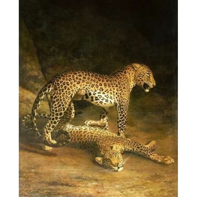 Two Leopards Lying In The Exeter Exchange Poster Print by Jacques-Laurent Agasse Image 1