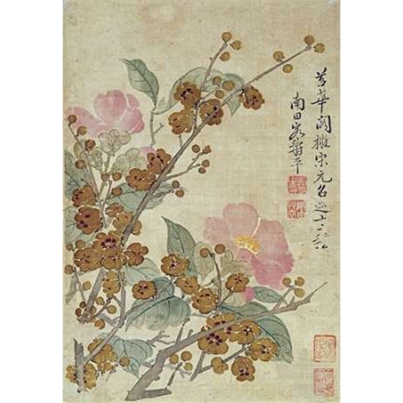 Plum Blossom and Camellias Poster Print by Yun Shouping Image 2